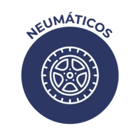 Neumáticos